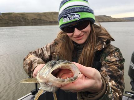 Woman in Seahawks cap holding a walleye with it's mouth open showing its teeth.