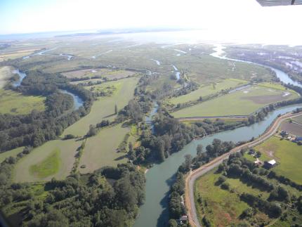 Aerial of the Island Unit 