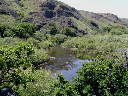 Cowiche Creek running through hilly terrain