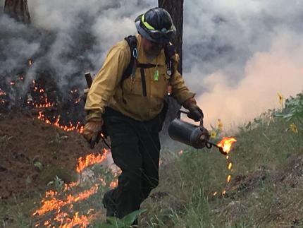 WDFW firefighter wearing protective clothing and hard hat setting a proscribed fire