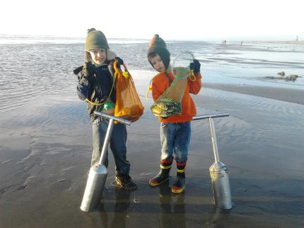 Kids Razor Clamming at Long Beach