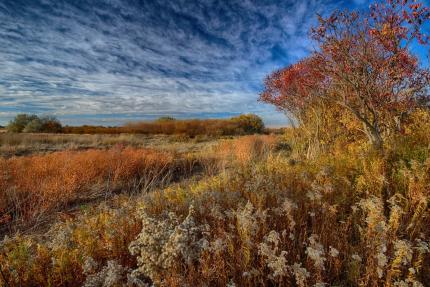 Scenic view of landscape on Sunnyside Wildlife Area Unit