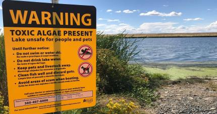 Warning sign posted about blue green algae in eastern Washington lake
