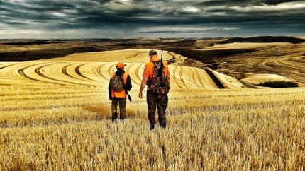 Dad and son wandering off to hunt in autumn with beautiful sky and golden grain field on wide open horizon