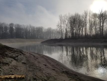 River channel with trees along the bank