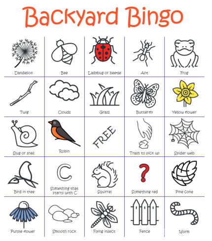 Backyard bingo card