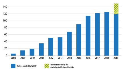 A graph showing the growth in Washington's wolf population over the years