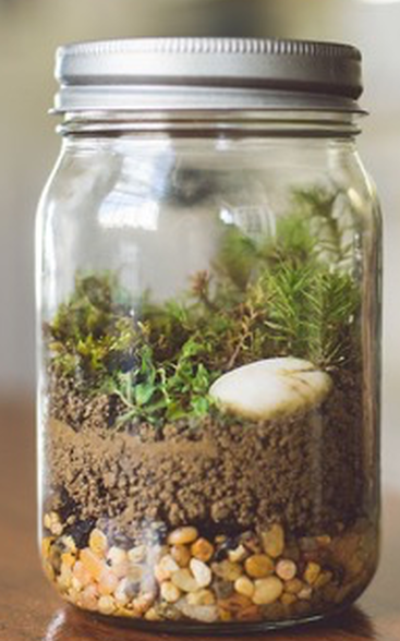 Mason jar with pebbles, soil, moss, and plants
