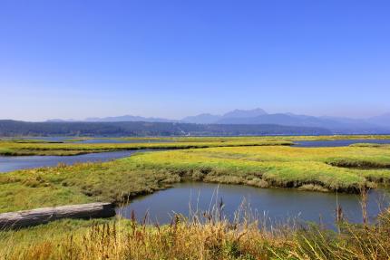 Skokomish estuary