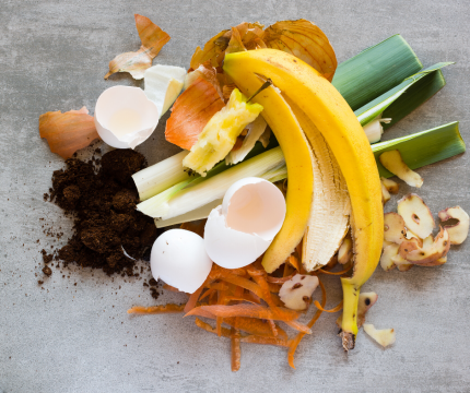 Compost including banana peel, eggs, shells, vegetable scraps