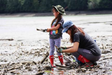 Mom and daughter digging steamer clams on a beach