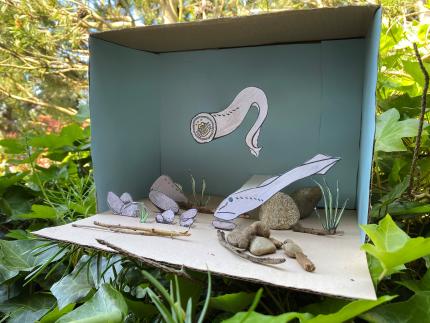 Craft of lamprey habitat in a shoebox