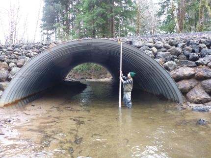 WDFW employee takes measurements inside large culvert