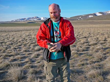 WDFW research scientist holds a sharp-tailed grouse in shrubsteppe habitat in central Washington