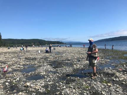 image of beach and oyster gathering