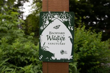 habitat at home yard sign