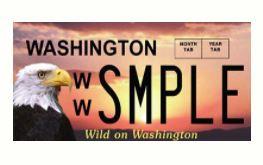 personalized license plate sample