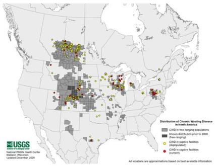 26+ Washington State Covid Restrictions