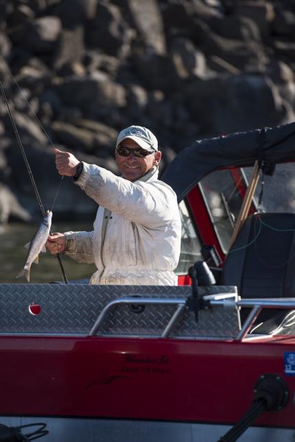 Angler holds up pikeminnow