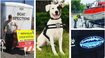 A collage of photos from an aquatic invasive check station