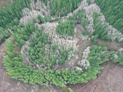 Aerial view of relic oxbow channel to be restored 