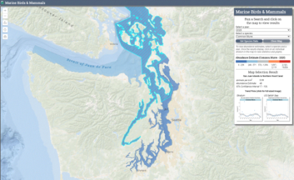 Screen shot of the marine bird webmap