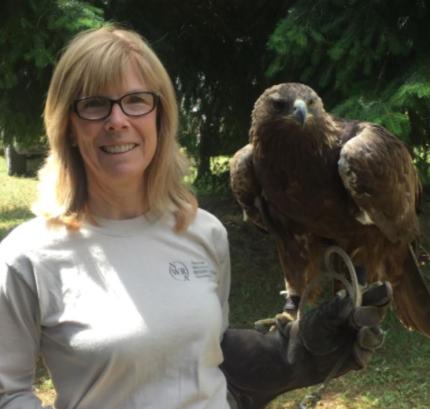 WDFW Biologist Patricia Thompson holding a golden eagle - a falconry bird