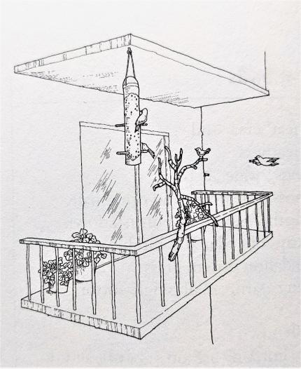 a picture of a bird feeder and perch on a balcony