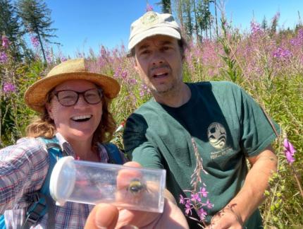 WDFW Biologists Julie Combs and Eric Holman with captured western bumble bee in a tube