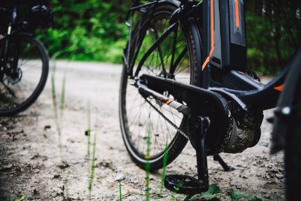 ebike in forested road setting