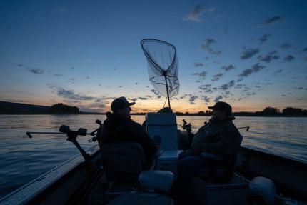 Record-low steelhead returns on Columbia River prompt call for