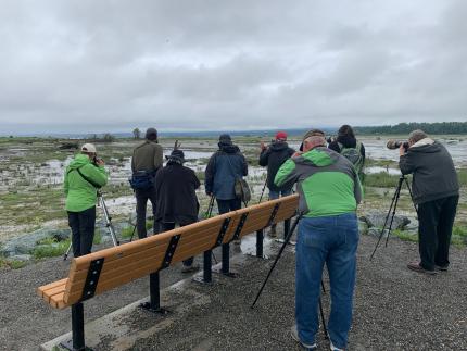 A group of bird watchers gather to watch birds use the new habitat at Leque Island