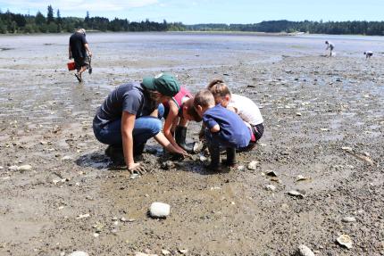 Clam digging