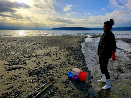 Hood Canal clam digging