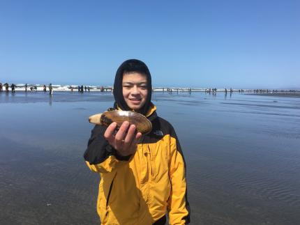 Razor Clam at Copalis Beach