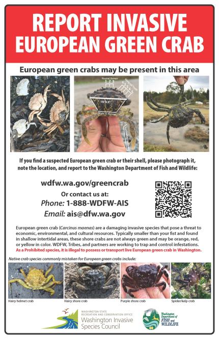 WDFW European green crab reporting sign and ID_2022 version