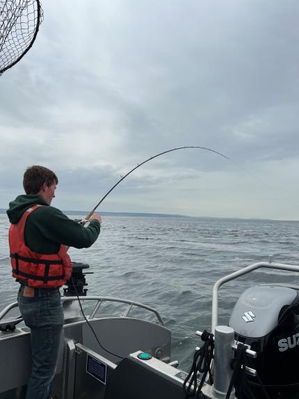 Chinook salmon fishing in Puget Sound