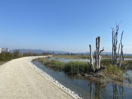 Skagit Wildlife Area Headquarters Unit walking trails through Skagit Estuary