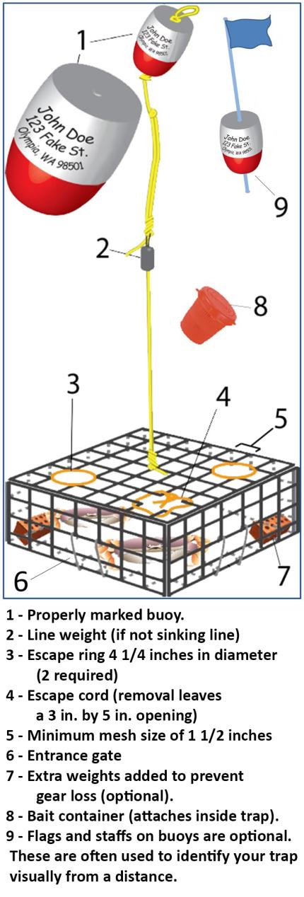 Best Crabbing Supplies 2024 - Pots, Traps, Rope, Tools