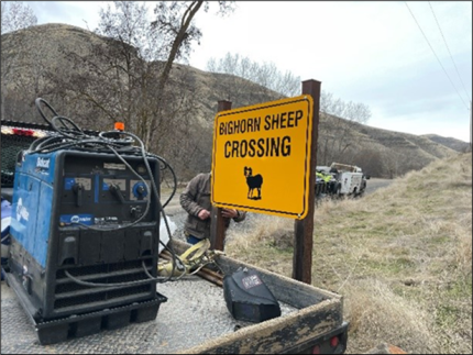Bighorn sheep crossing sign 