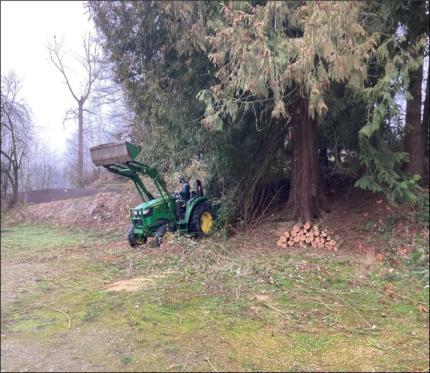 Harts Lake: Clearing for improved parking.