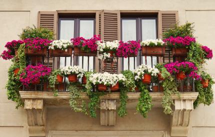 Beautiful Balcony Decorated with Flower Pots.