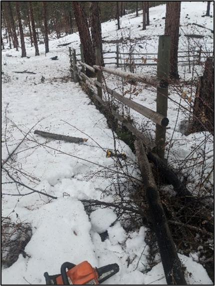 A fence with a chainsaw