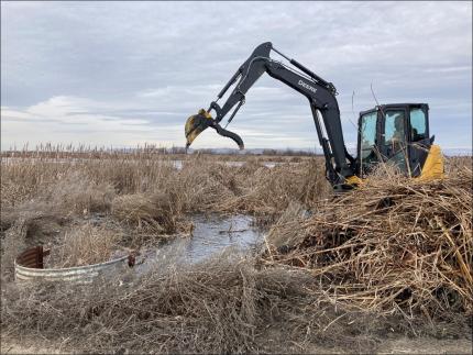 A tractor clearing cattails at in intake for Giffin Lake pump