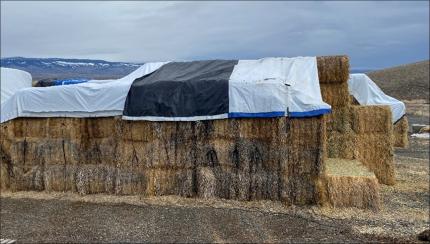 A haybale spilling out