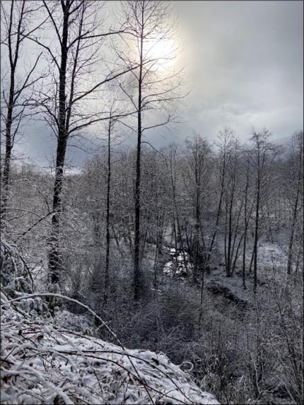 Fresh snow at the Mudflow Unit