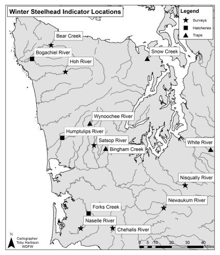 Map showing locations of steelhead surveys, traps, and hatcheries listed in the tables on this page