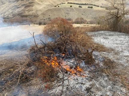 Burning piles of blackberries that had been encroaching on a alfalfa food plot.  