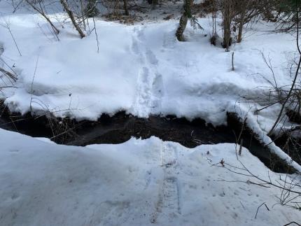 Culvert Planning