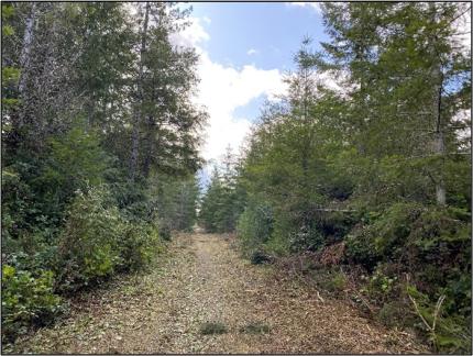 A view of the Lost Highway in Big Beef Creek Unit after improvements.